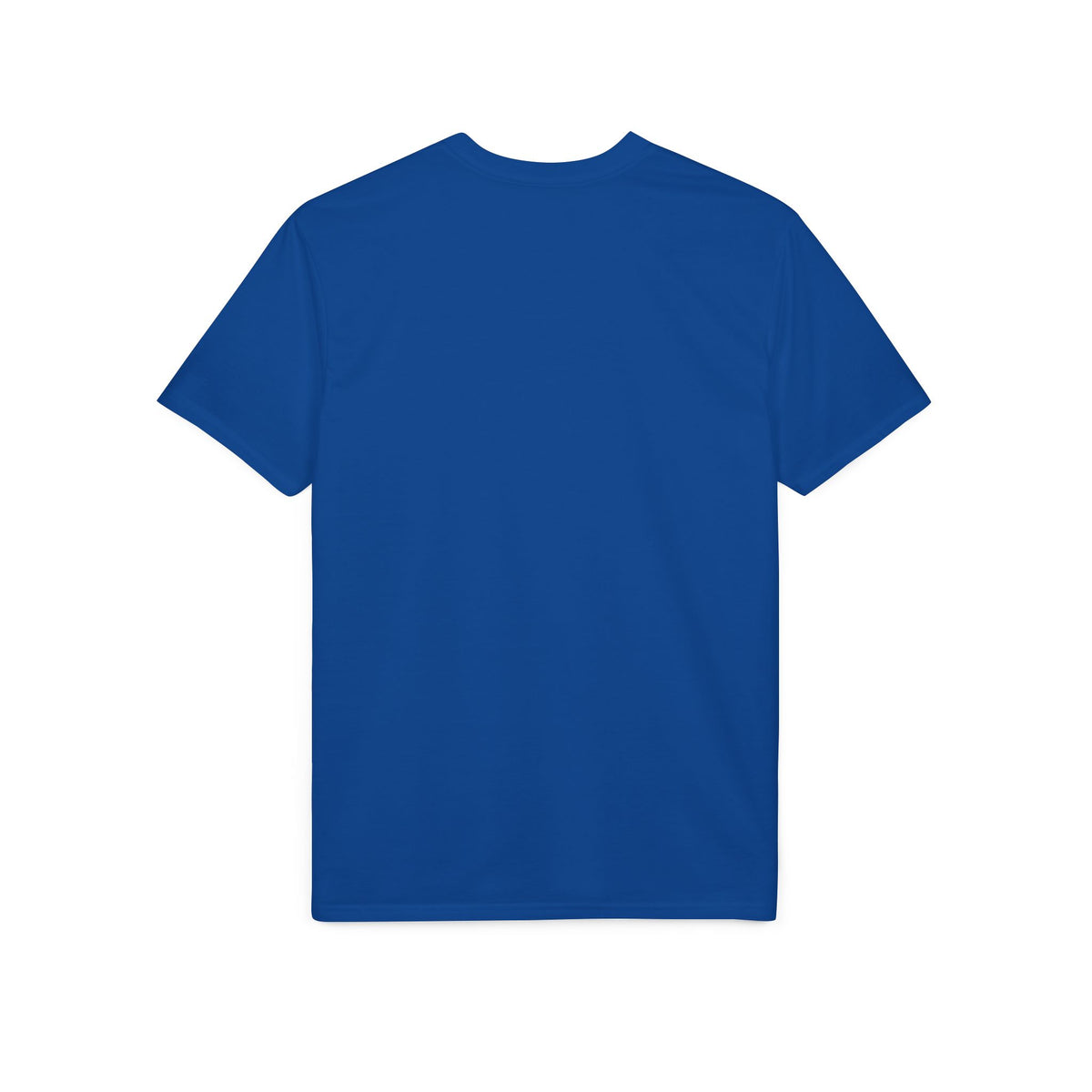 Hierarchy of Pain Pride T-Shirt — Graphic Motivational Tee